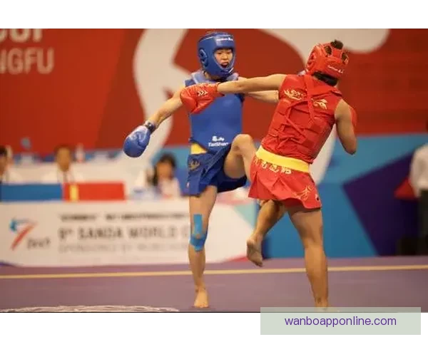 世界杯赛事竞猜与预测分析揭示冠军之路及关键对决走势