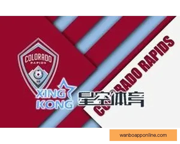 全新体育竞猜平台带你体验实时赛事下注乐趣