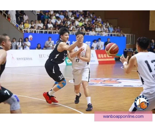 全民参与体育竞猜盛宴激发热情共享激情赛事精彩时刻